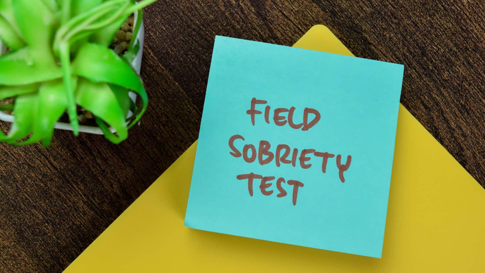 Newby - DUI Mistakes to Avoid