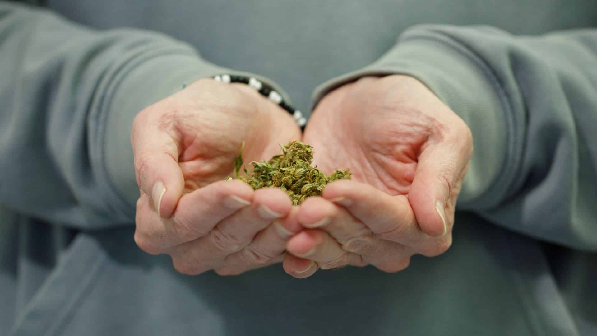 Newby Lindley Slater - drug distribution charges in colorado springs