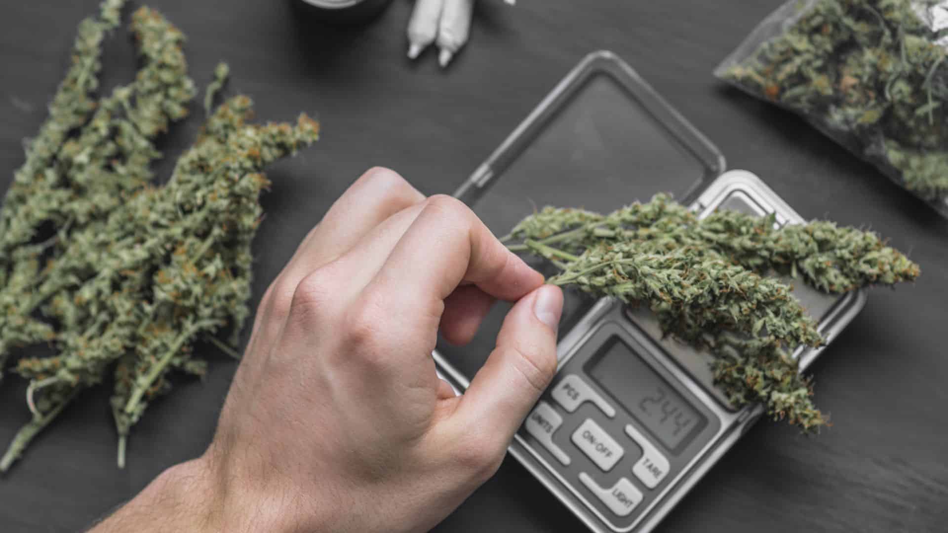 Newby Lindley Slater - drug distribution charges in colorado springs